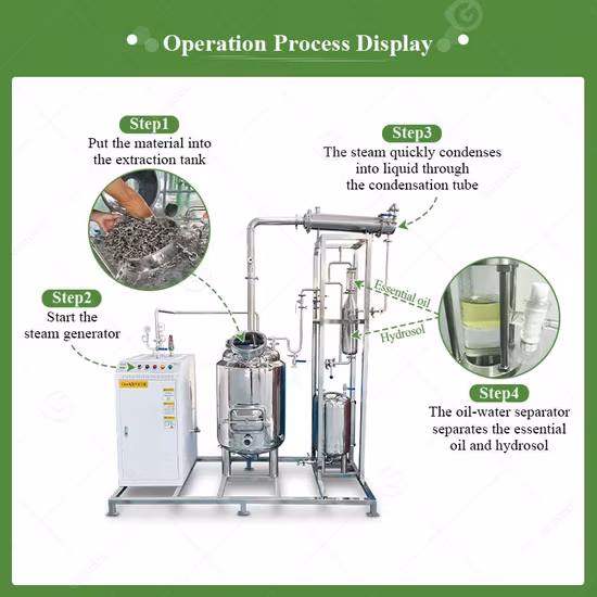 Distillatore di Oli Aromatici Distillazione a vapore di citronella