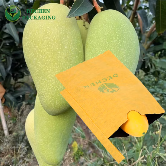Manici personalizzati per sacchetti di protezione della frutta in carta resistente all'acqua