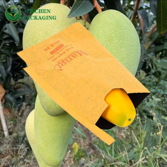 Sacco di carta mango con copertura per frutta protettiva impermeabile per fornitore