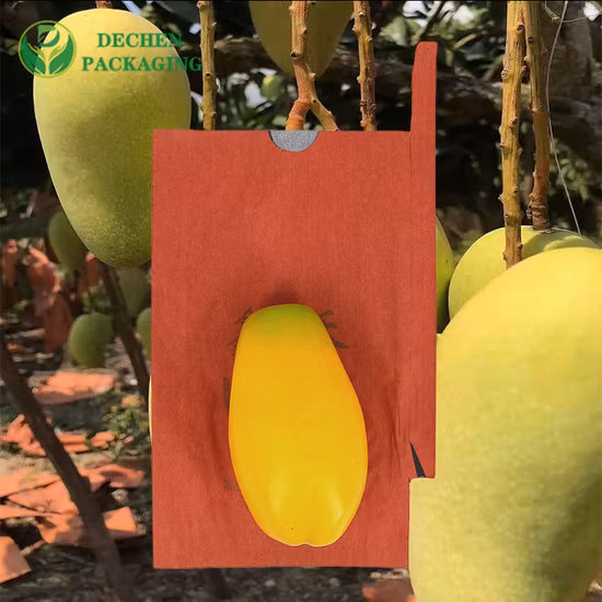 Confezione di protezione impermeabile per frutta, sacchetto di copertura in carta per coltivazione di mango, rivestito in cera